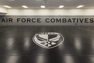 Air Force Combatives